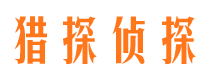 新干市侦探公司